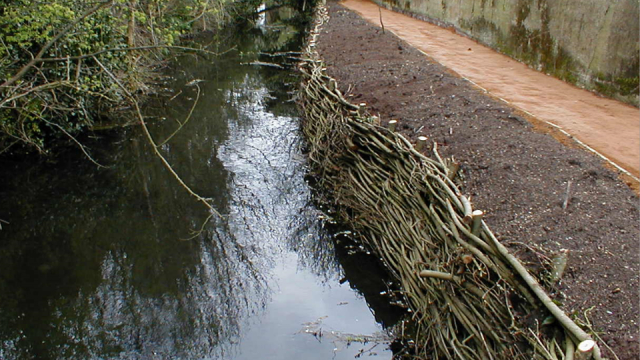 willow spiling supporting new path by small river